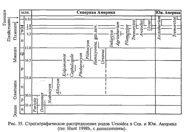 медвежьи