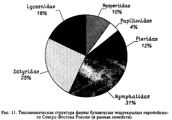 Общая характеристика чешуекрылых