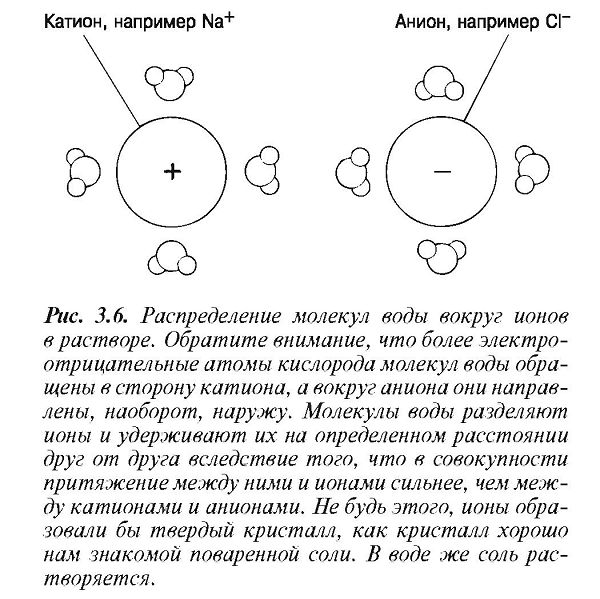 Чем обусловлено биологическое значение воды. Смотреть фото Чем обусловлено биологическое значение воды. Смотреть картинку Чем обусловлено биологическое значение воды. Картинка про Чем обусловлено биологическое значение воды. Фото Чем обусловлено биологическое значение воды