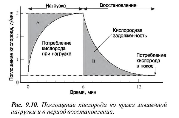 Кислородная задолженность