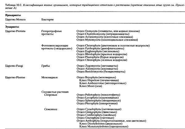 Формальная классификация организмов