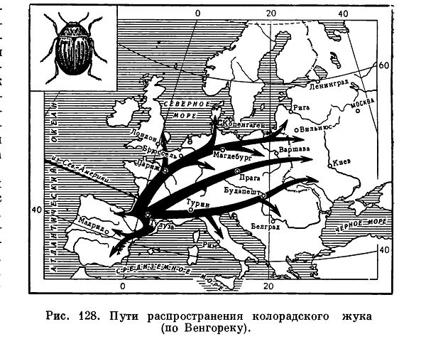 Вредные насекомые