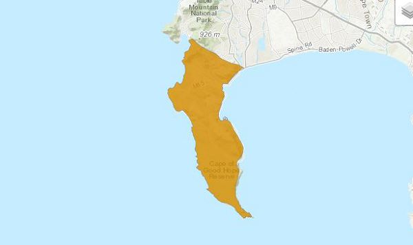 Капская горная жаба