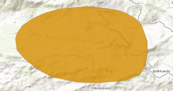 Pseudophilautus decoris