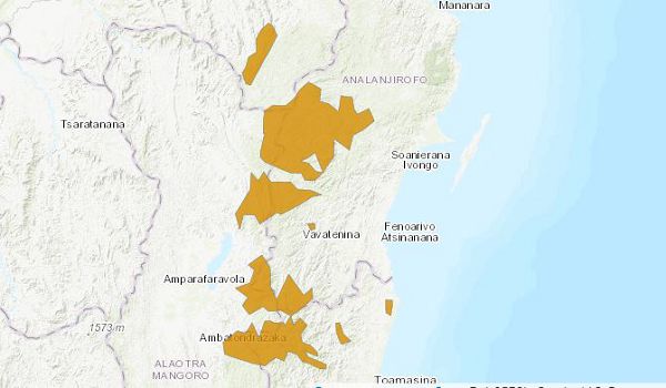 Черно-белый ворсистый лемур