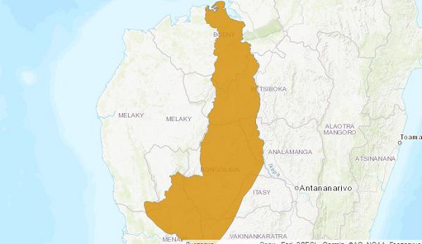 Увенчанный сифака