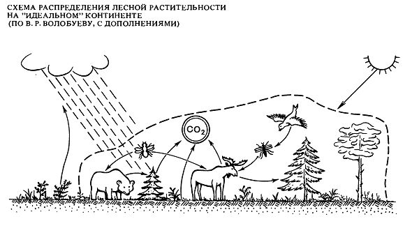 Состояние лесных ресурсов