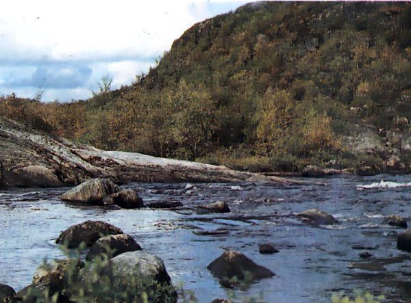 заповедник