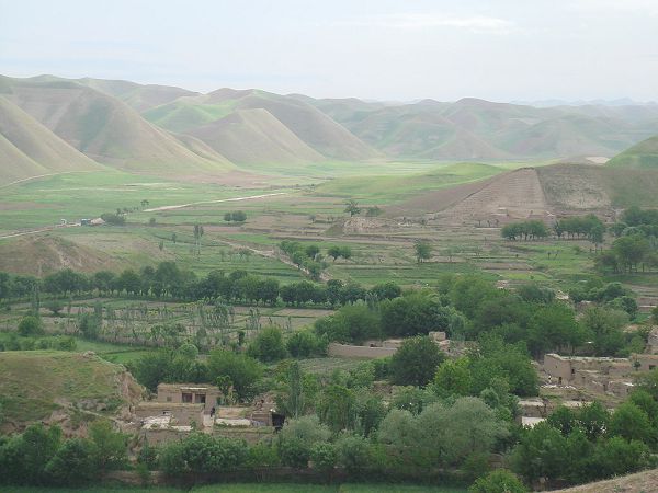 Леса Афганистана