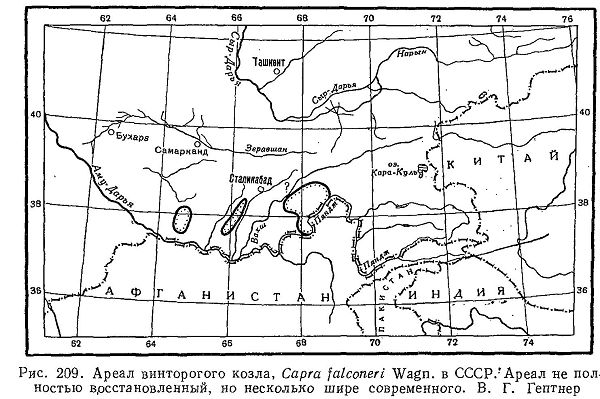 козел
