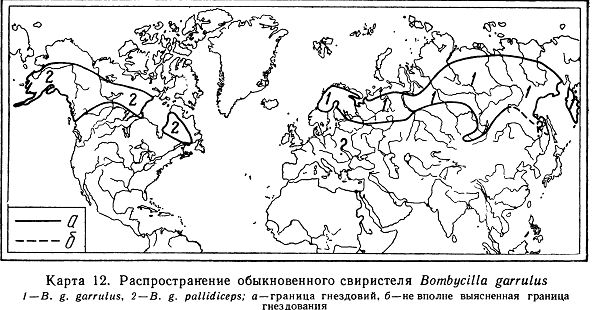 Свиристель. Птицы СССР