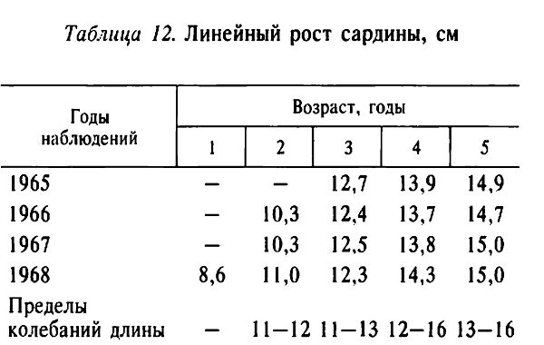 Австралийская сардина