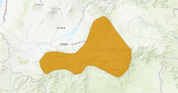Эфиопская кротовая крыса